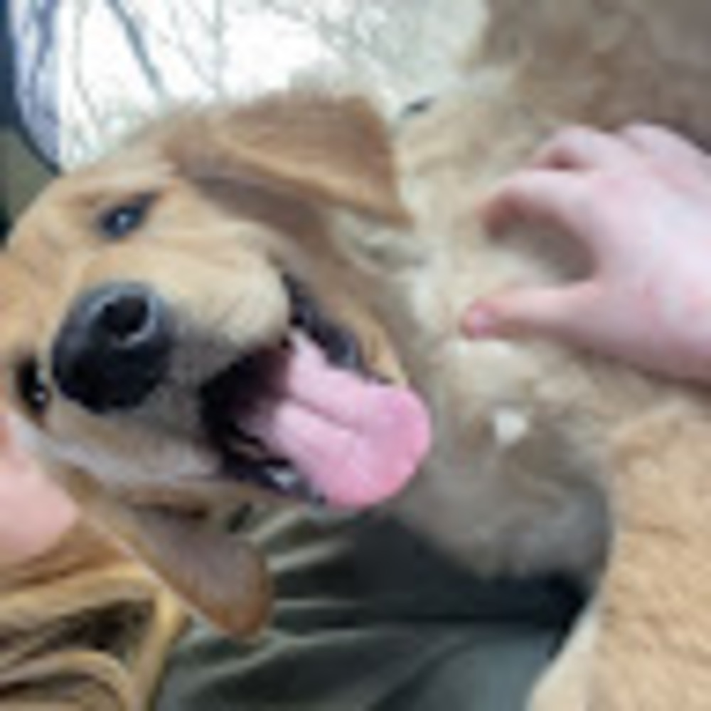 Meet your Posher, Kailee